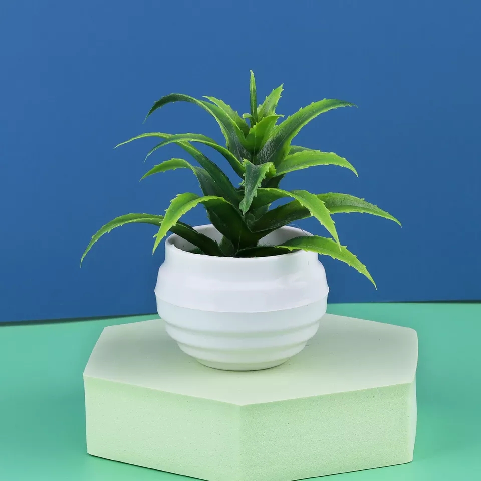 Mini Artificial Aloe vera Bonsai Small Simulation Tree